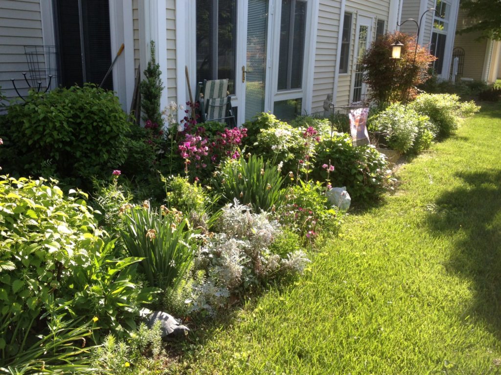 A resident's private garden