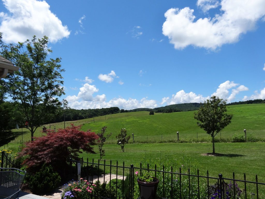 Blue sky and fluffy clouds above a hillside photo by Patricia MacDonald
