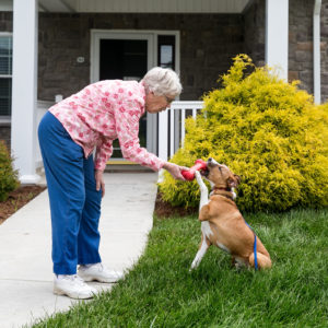 A woman playing fetch with dog on a cottage lawn