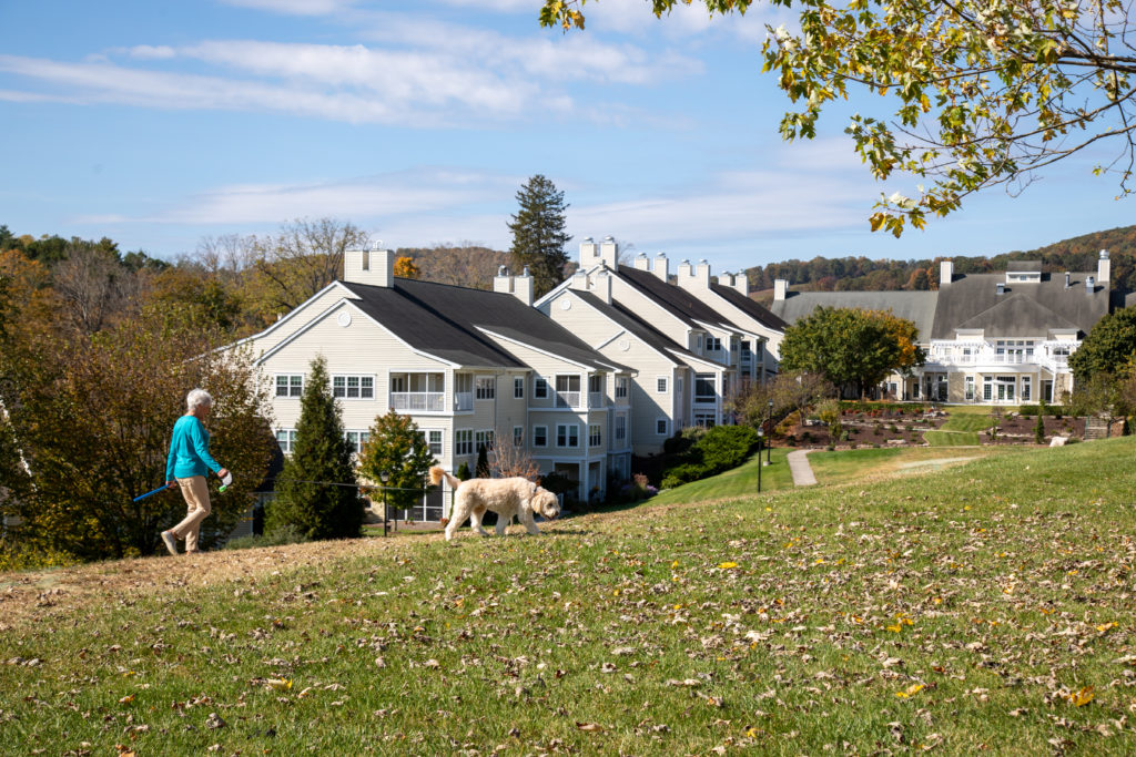 woman and dog walking in center of campus