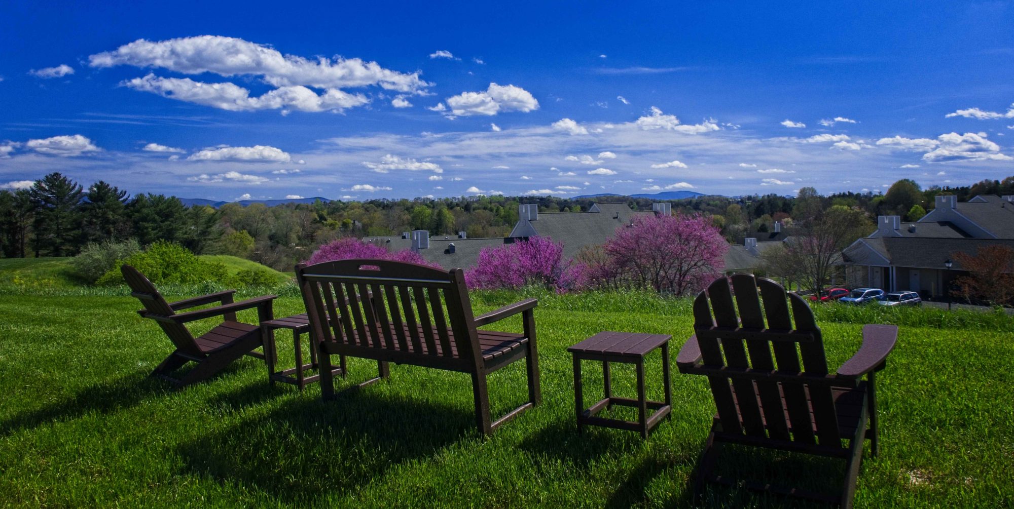 bench view