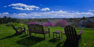 bench view