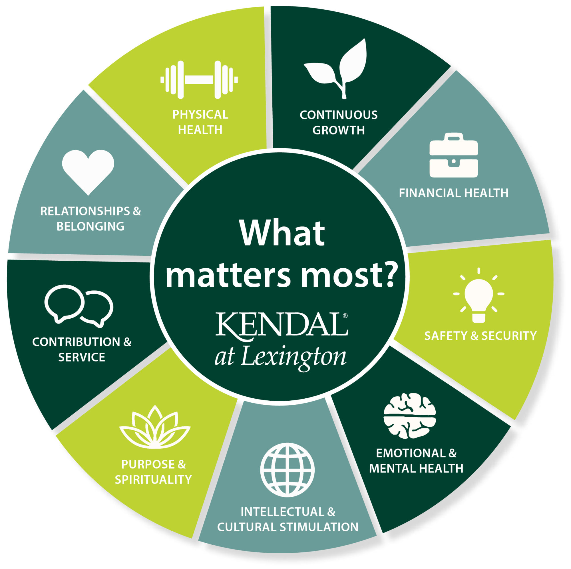 Wellness Wheel