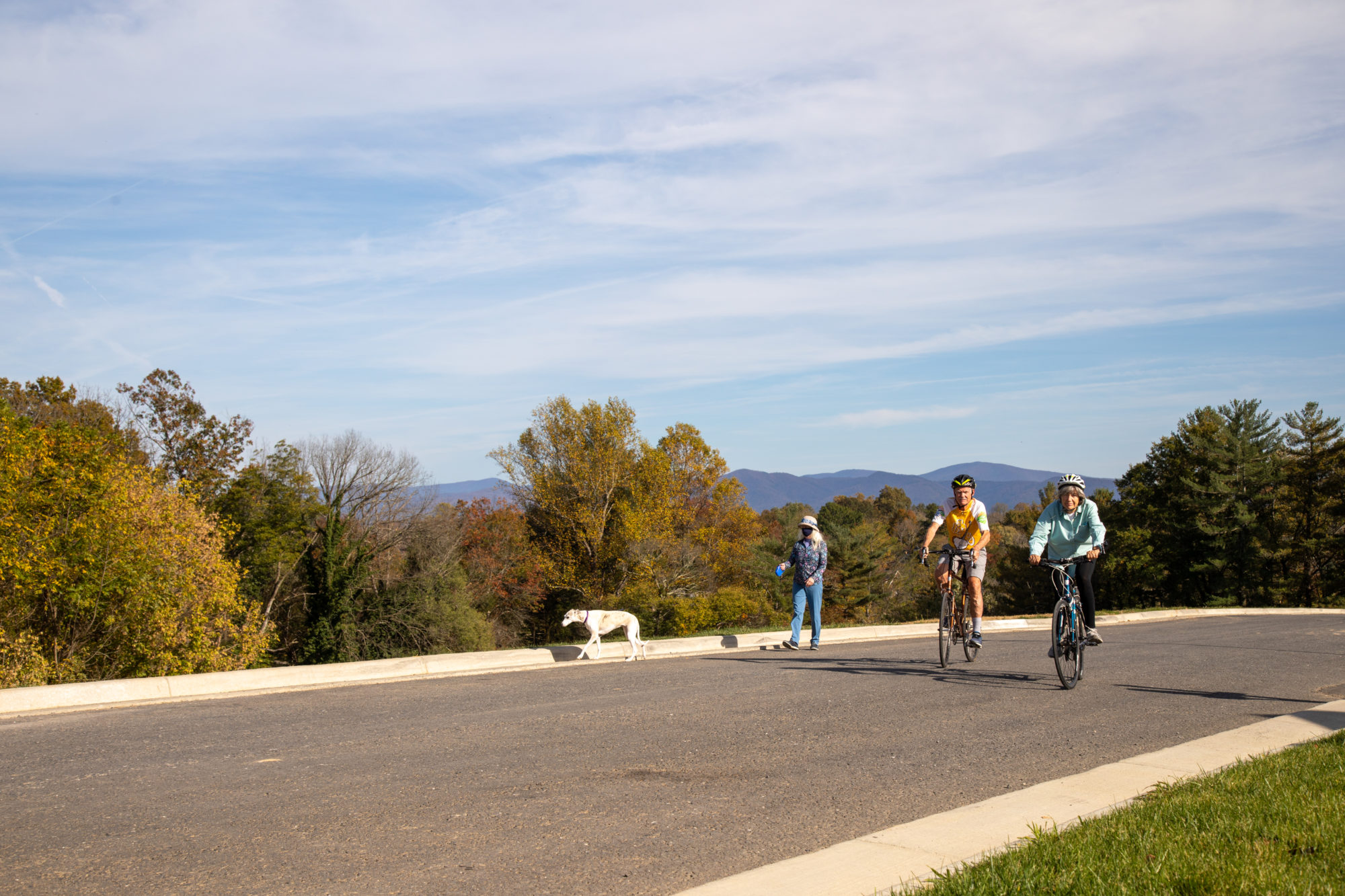residnets bike dog walking mountain view