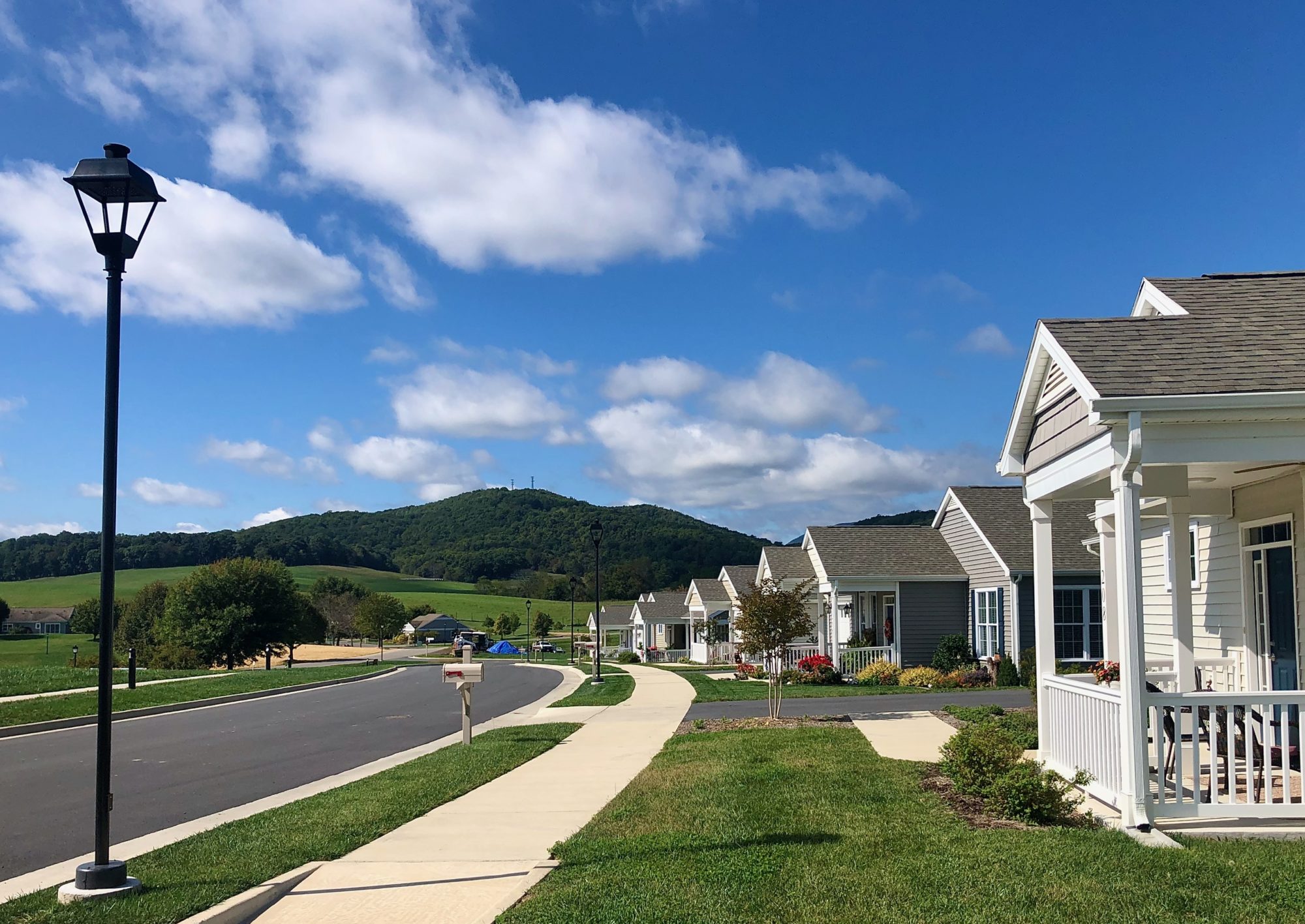 cottages along road