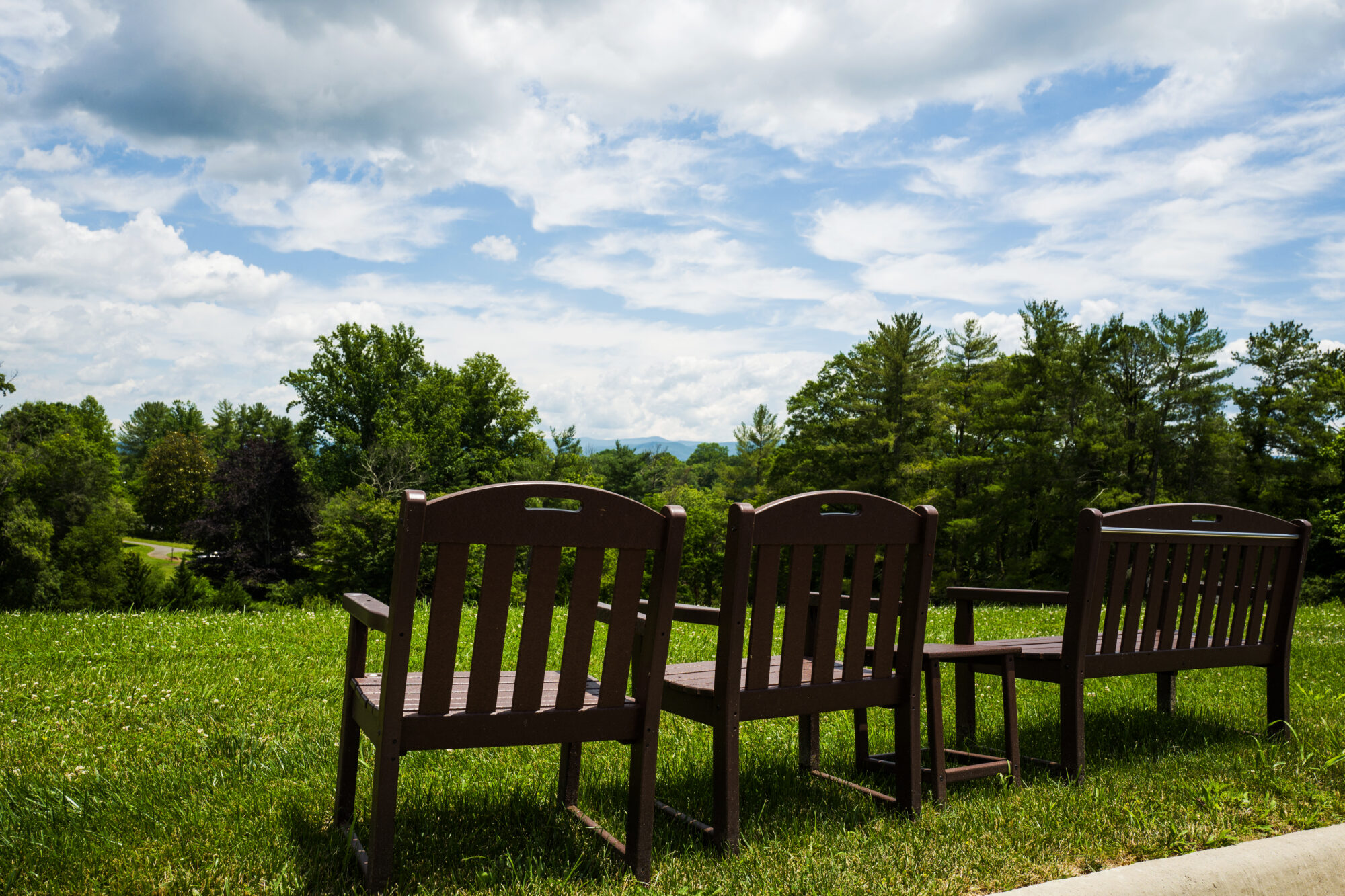 bench view