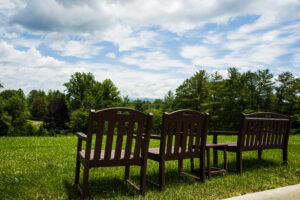 bench view
