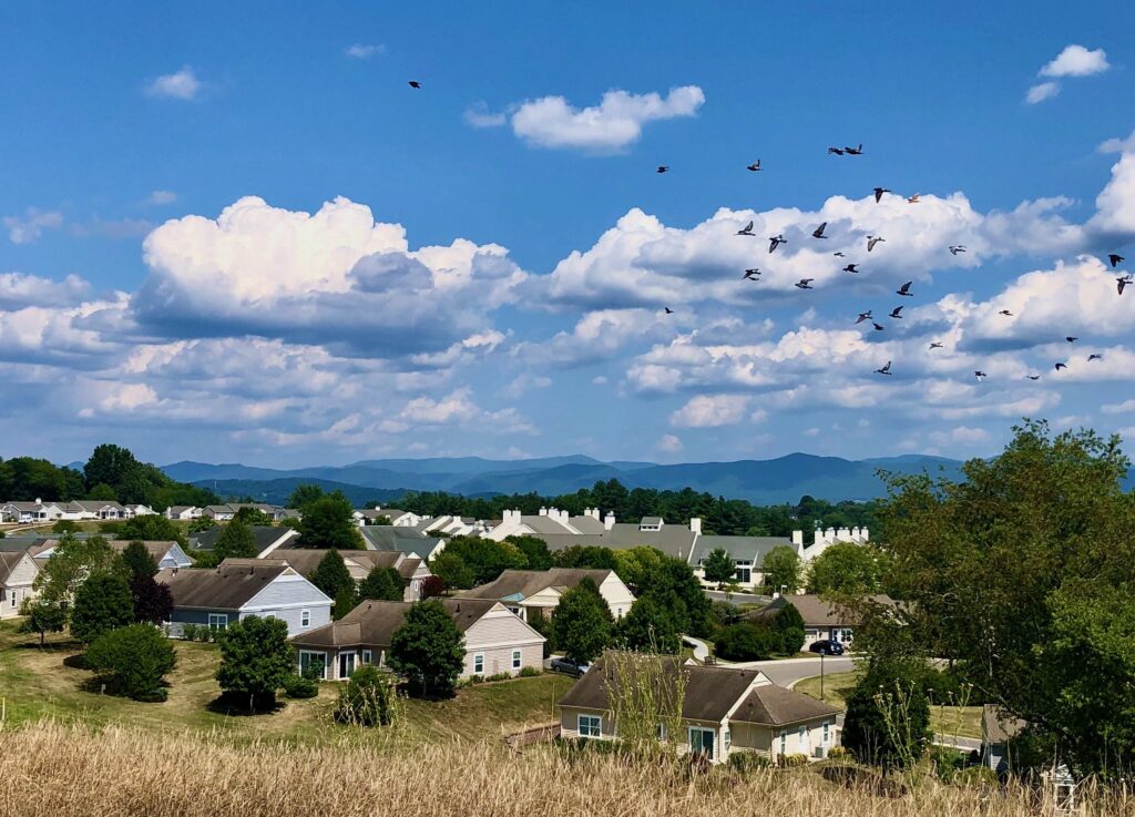 campus view with birds