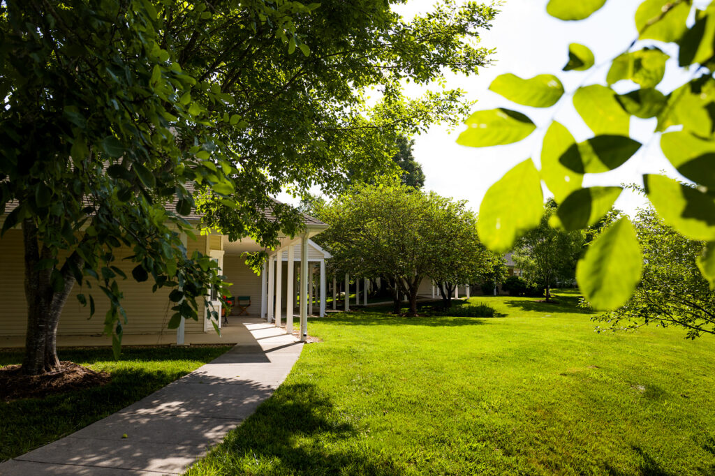 a summer photo of kendal at lexington