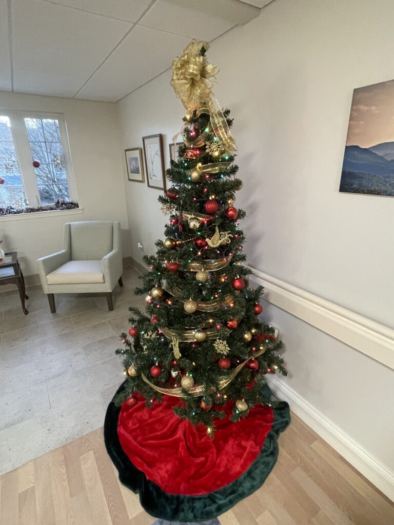 Christmas tree in Webster Center. 