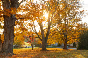 Landscape in Lexington, VA