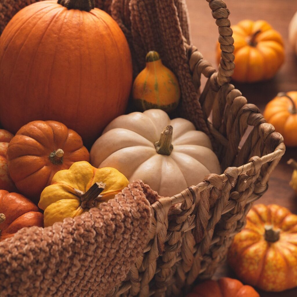 Fall themed image of Pumpkins in a basket